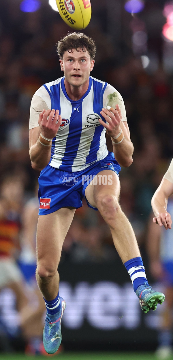 AFL 2025 Round 24 - North Melbourne v Adelaide - A-61671095