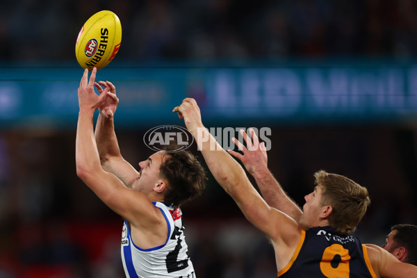 AFL 2025 Round 24 - North Melbourne v Adelaide - A-61673336