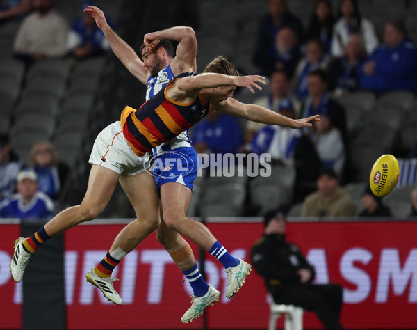 AFL 2025 Round 24 - North Melbourne v Adelaide - A-61673390