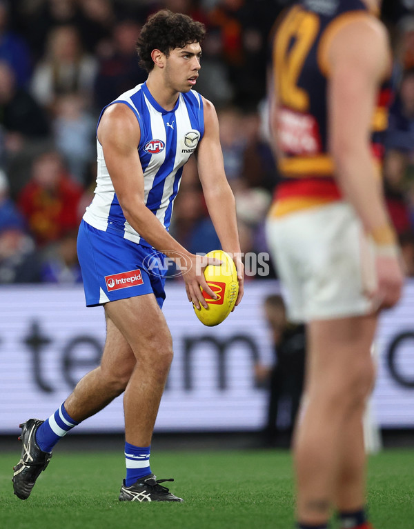 AFL 2025 Round 24 - North Melbourne v Adelaide - A-61673405