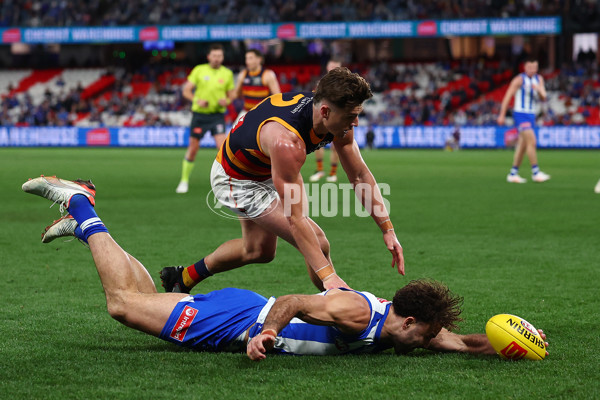 AFL 2025 Round 24 - North Melbourne v Adelaide - A-61673411