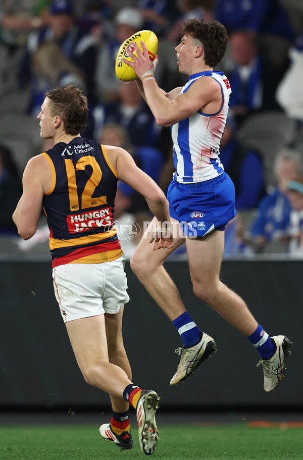 AFL 2025 Round 24 - North Melbourne v Adelaide - A-61673942