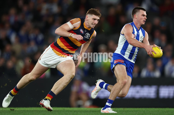 AFL 2025 Round 24 - North Melbourne v Adelaide - A-61673979