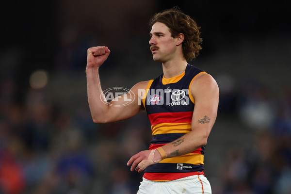 AFL 2025 Round 24 - North Melbourne v Adelaide - A-61675906