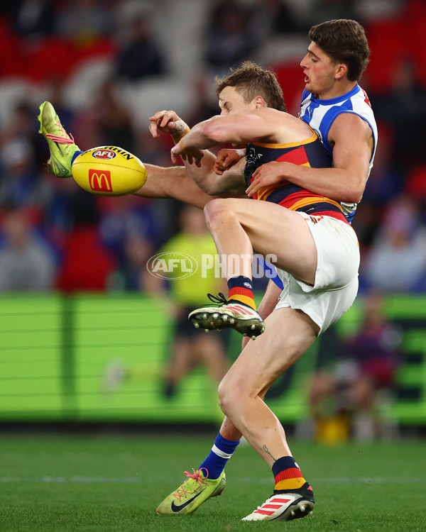 AFL 2025 Round 24 - North Melbourne v Adelaide - A-61675912