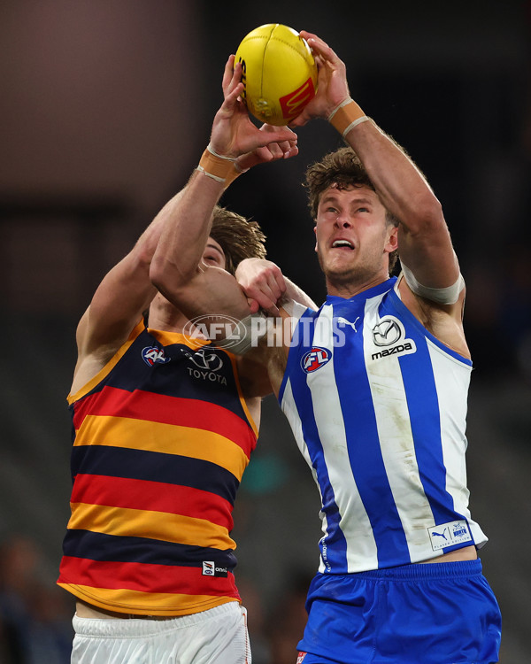 AFL 2025 Round 24 - North Melbourne v Adelaide - A-61675927