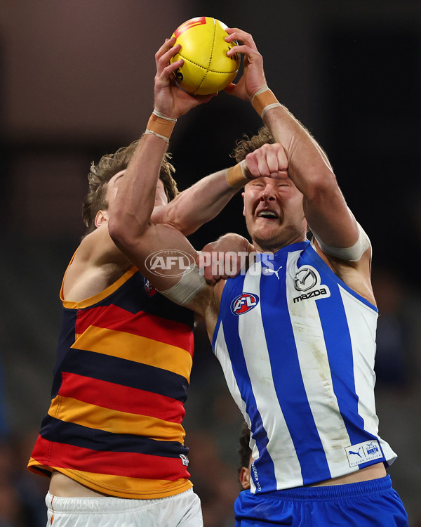 AFL 2025 Round 24 - North Melbourne v Adelaide - A-61675928