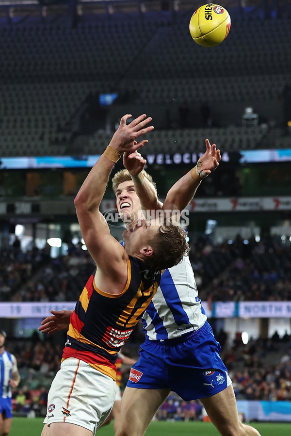 AFL 2025 Round 24 - North Melbourne v Adelaide - A-61677633