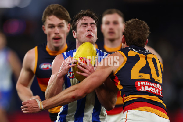 AFL 2025 Round 24 - North Melbourne v Adelaide - A-61678404