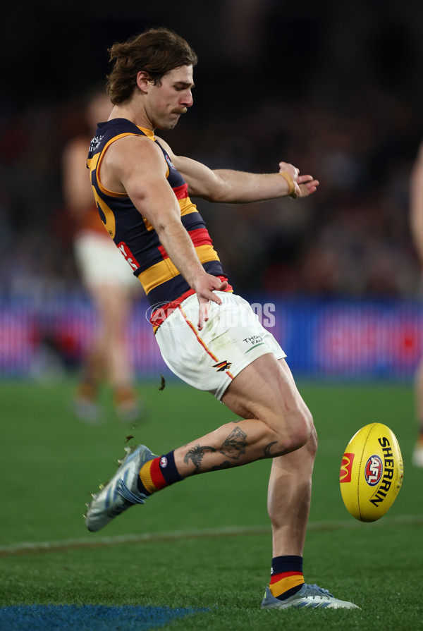 AFL 2025 Round 24 - North Melbourne v Adelaide - A-61678439