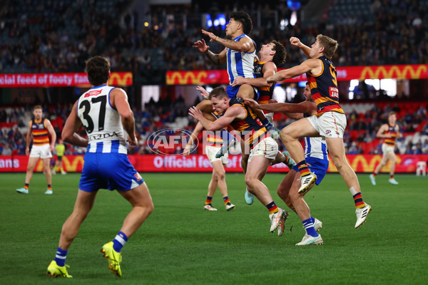 AFL 2025 Round 24 - North Melbourne v Adelaide - A-61680055