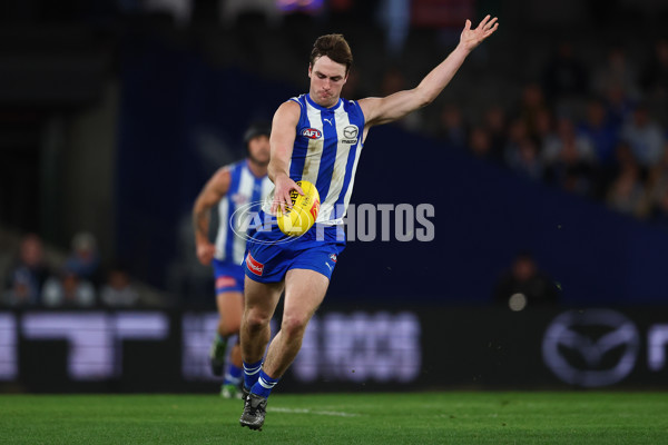 AFL 2025 Round 24 - North Melbourne v Adelaide - A-61680062
