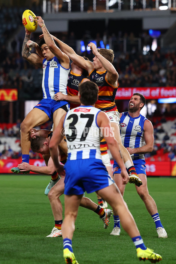 AFL 2025 Round 24 - North Melbourne v Adelaide - A-61681513