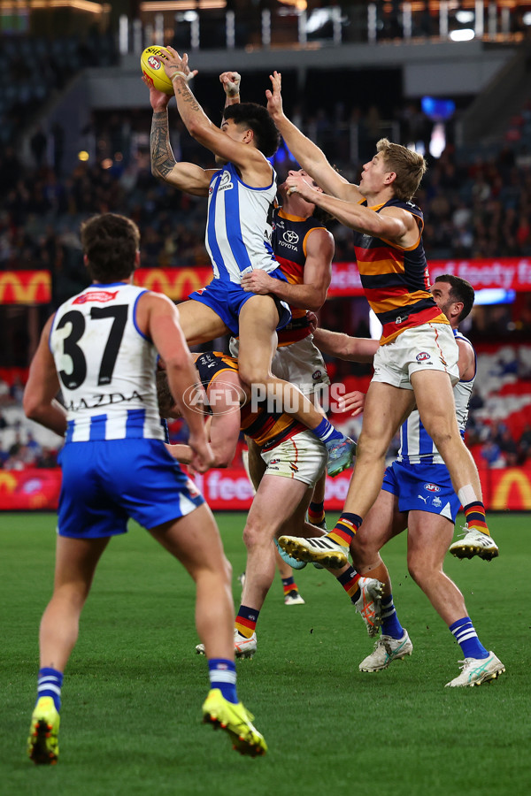 AFL 2025 Round 24 - North Melbourne v Adelaide - A-61681514