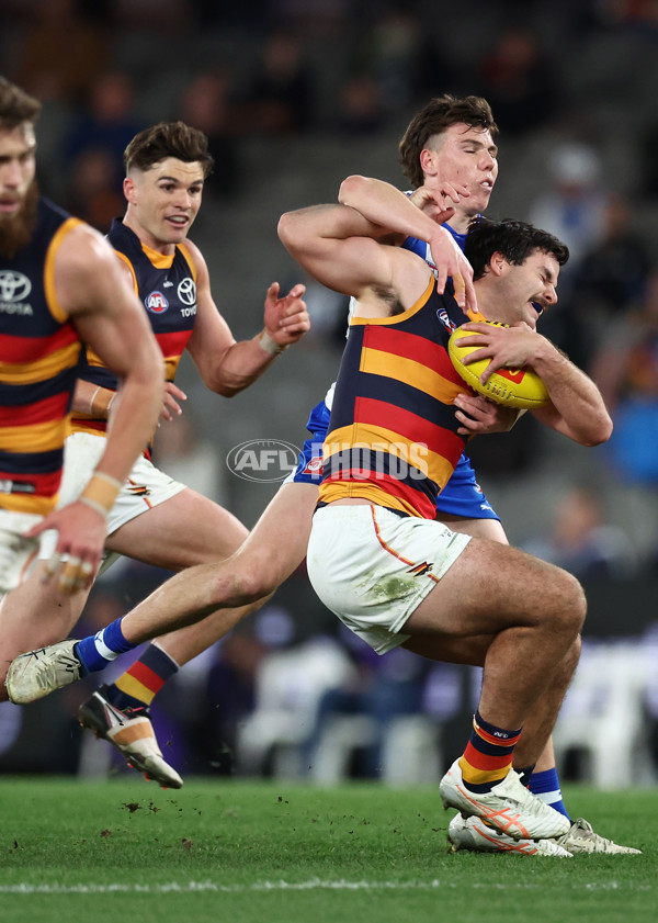 AFL 2025 Round 24 - North Melbourne v Adelaide - A-61681577