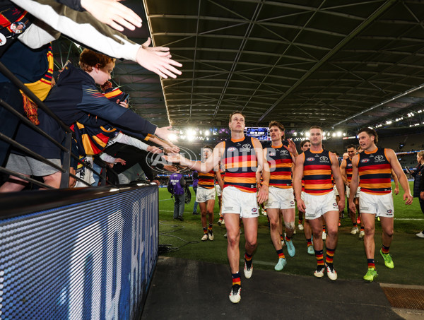 AFL 2025 Round 24 - North Melbourne v Adelaide - A-61681578