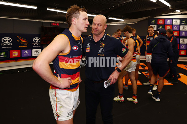 AFL 2025 Round 24 - North Melbourne v Adelaide - A-61682728
