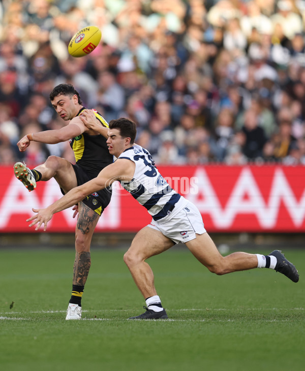AFL 2025 Round 24 - Richmond v Geelong - A-61684131