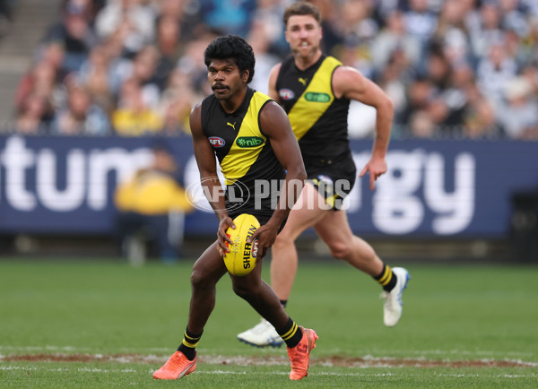 AFL 2025 Round 24 - Richmond v Geelong - A-61687394