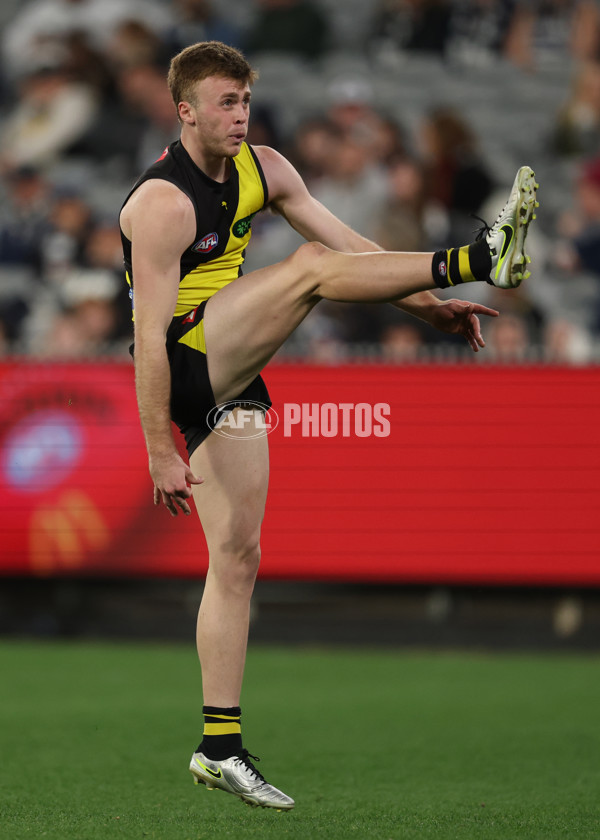 AFL 2025 Round 24 - Richmond v Geelong - A-61691044