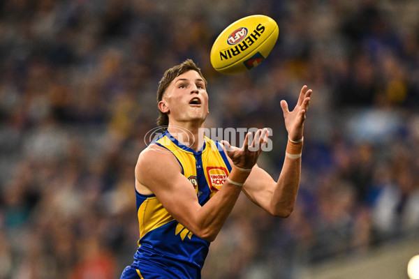AFL 2025 Round 24 - West Coast v Sydney - A-61697519