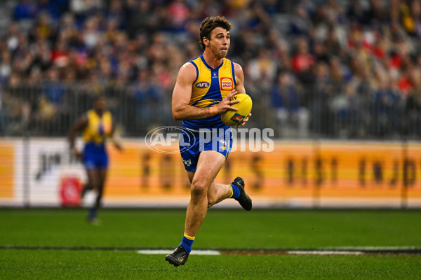AFL 2025 Round 24 - West Coast v Sydney - A-61697521