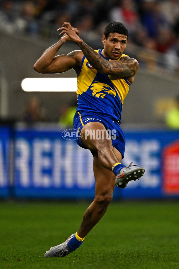 AFL 2025 Round 24 - West Coast v Sydney - A-61697560