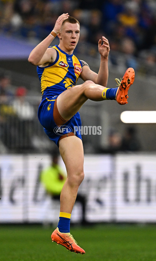 AFL 2025 Round 24 - West Coast v Sydney - A-61697561