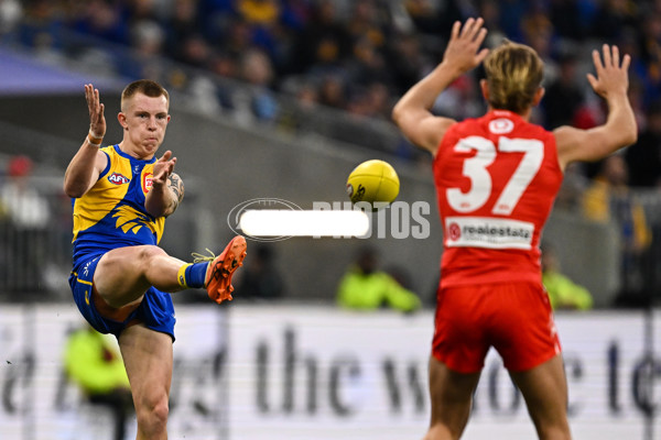 AFL 2025 Round 24 - West Coast v Sydney - A-61697562