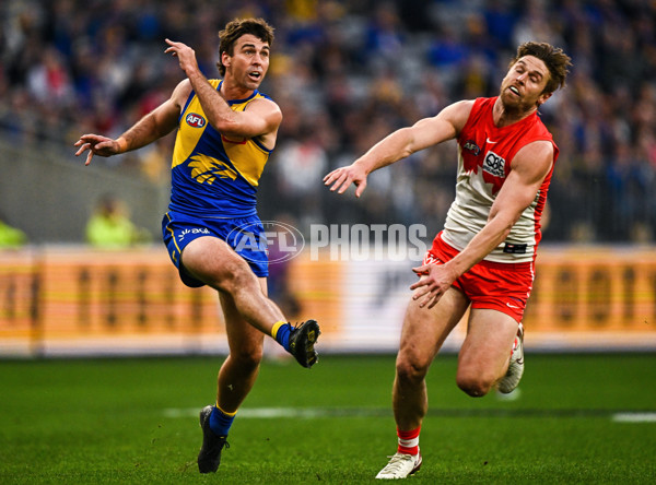AFL 2025 Round 24 - West Coast v Sydney - A-61698380