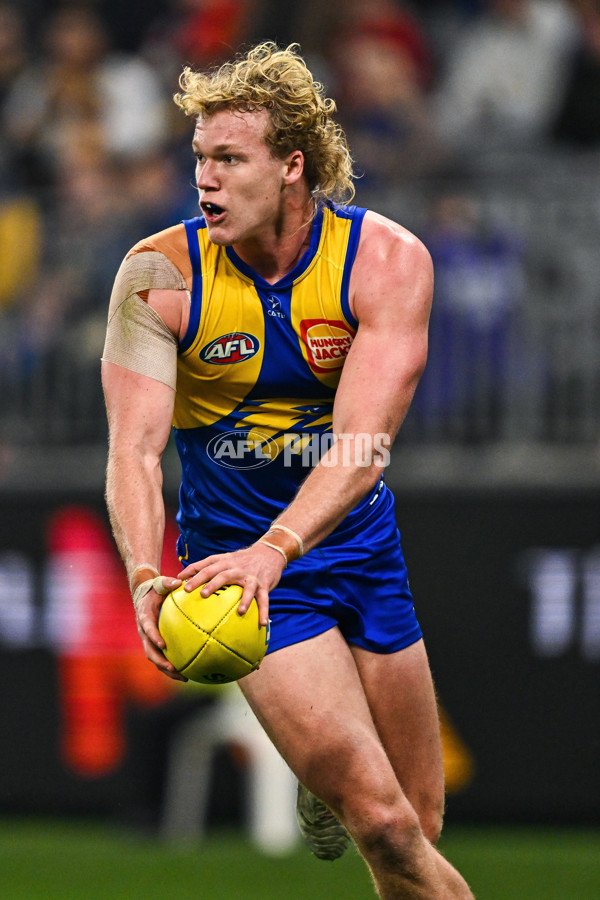 AFL 2025 Round 24 - West Coast v Sydney - A-61698460