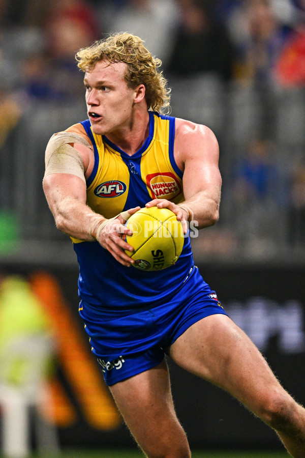 AFL 2025 Round 24 - West Coast v Sydney - A-61698465