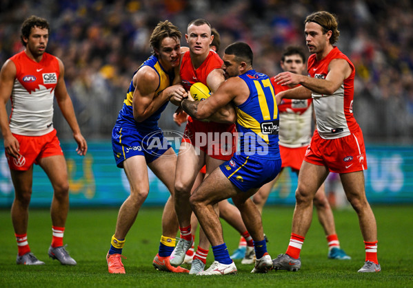 AFL 2025 Round 24 - West Coast v Sydney - A-61700047