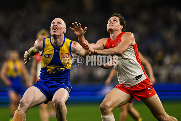 AFL 2025 Round 24 - West Coast v Sydney - A-61701109