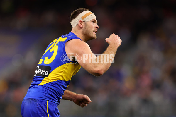 AFL 2025 Round 24 - West Coast v Sydney - A-61702617