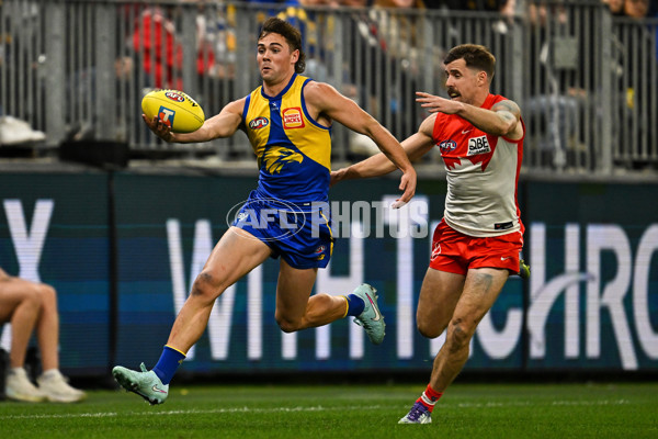 AFL 2025 Round 24 - West Coast v Sydney - A-61702633