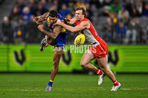 AFL 2025 Round 24 - West Coast v Sydney - A-61702636
