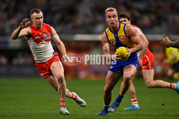 AFL 2025 Round 24 - West Coast v Sydney - A-61702698