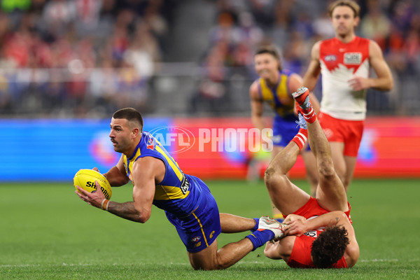 AFL 2025 Round 24 - West Coast v Sydney - A-61703967