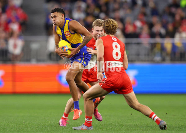 AFL 2025 Round 24 - West Coast v Sydney - A-61703982