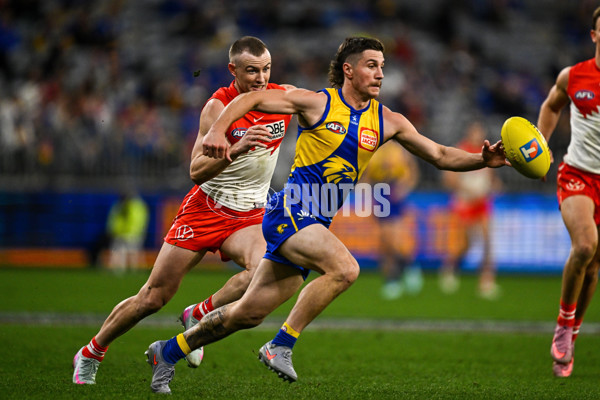 AFL 2025 Round 24 - West Coast v Sydney - A-61704018