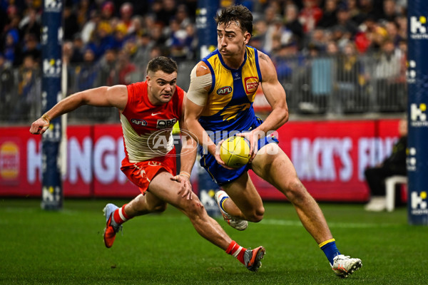AFL 2025 Round 24 - West Coast v Sydney - A-61704019