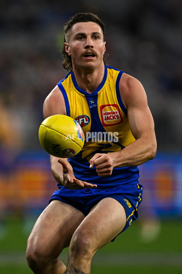 AFL 2025 Round 24 - West Coast v Sydney - A-61705174