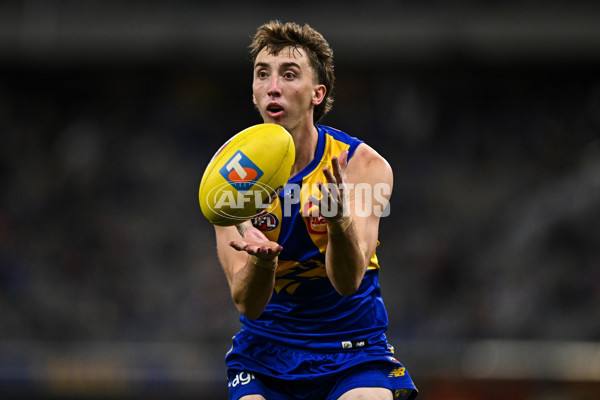 AFL 2025 Round 24 - West Coast v Sydney - A-61705176