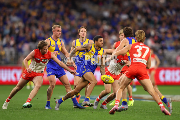 AFL 2025 Round 24 - West Coast v Sydney - A-61709518