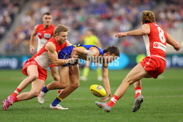 AFL 2025 Round 24 - West Coast v Sydney - A-61709527