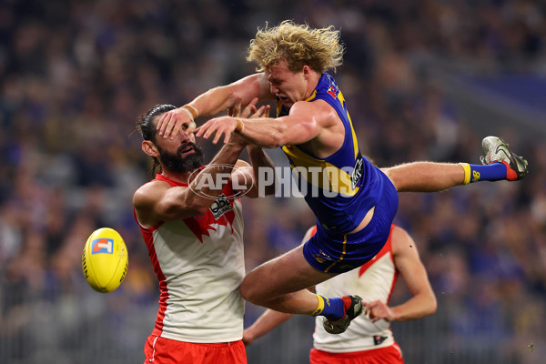 AFL 2025 Round 24 - West Coast v Sydney - A-61709529