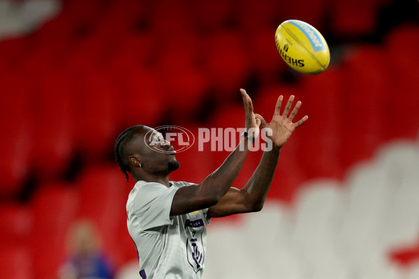 AFL 2025 Round 24 - Western Bulldogs v Fremantle - A-61723988