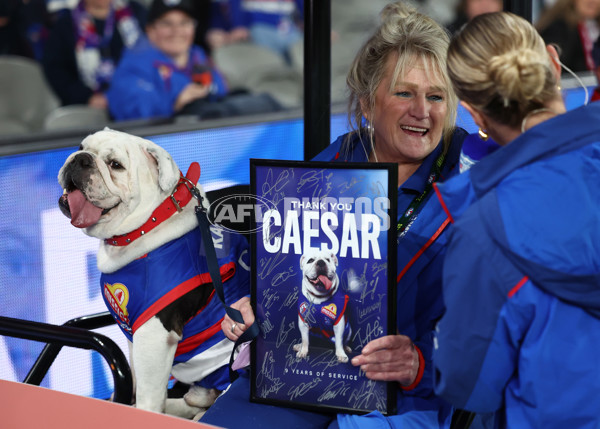 AFL 2025 Round 24 - Western Bulldogs v Fremantle - A-61729124