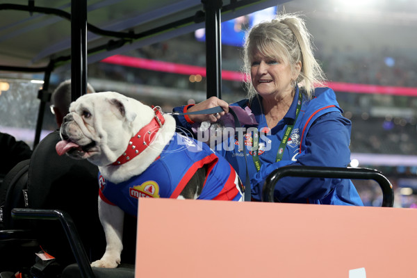 AFL 2025 Round 24 - Western Bulldogs v Fremantle - A-61729148